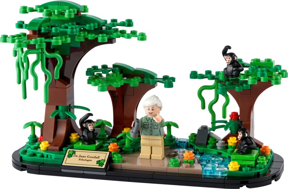LEGO 40530 Hommage an Jane Goodall