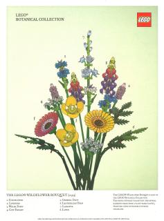LEGO Botanical Collection - Wildblumenstrauß Poster