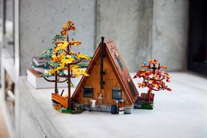 LEGO 21338 alt16