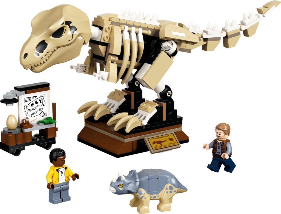 LEGO 76940 T. Rex-Skelett in der Fossilienausstellung